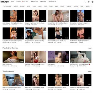 TubeOrigin, Top Premium Porn Sites