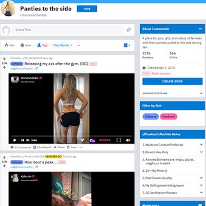 PantiesToTheSide, Top Premium Porn Sites