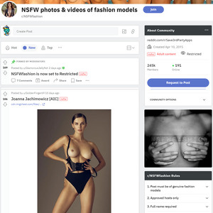 NSFW fashion, Top Premium Porn Sites