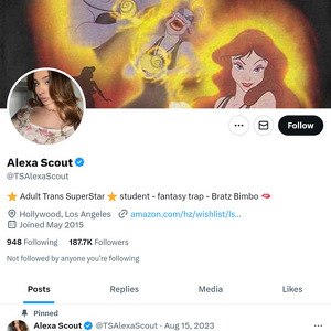 Alexa Scout Twitter (TS), Top Premium Porn Sites