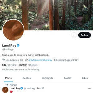 Lumi Ray Twitter, Top Premium Porn Sites