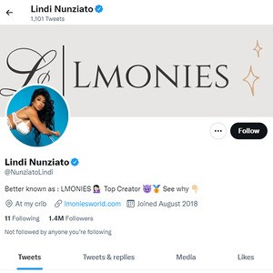 Lindi Nunziato Twitter, Top Premium Porn Sites