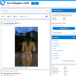 Reddit Ass, Top Premium Porn Sites