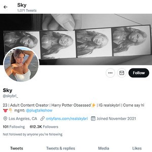 Sky Bri, Top Premium Porn Sites