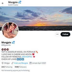 Morgpie Twitter, Top Premium Porn Sites