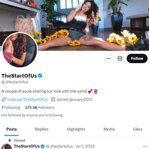 TheStartOfUs Twitter, Top Premium Porn Sites