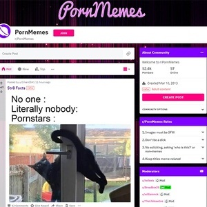 Reddit Porn Memes, Top Premium Porn Sites