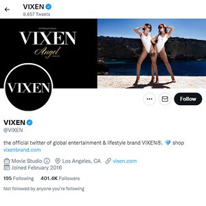 Vixen Twitter, Top Premium Porn Sites