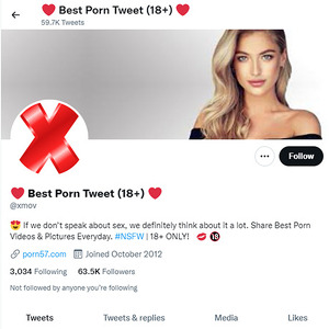 Best Porn Tweets, Top Premium Porn Sites