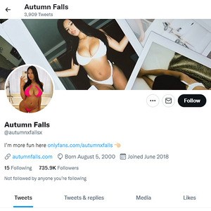 Autumn Falls Twitter, Top Premium Porn Sites