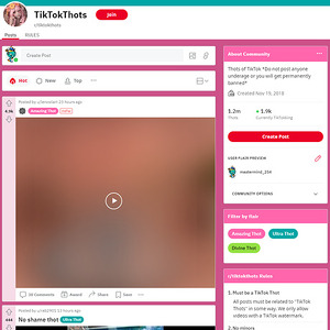 Reddit TikTokThots, Top Premium Porn Sites