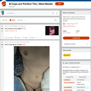 B Cups, Top Premium Porn Sites