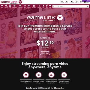 GameLink, Top Premium Porn Sites