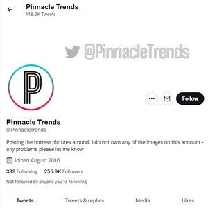 Pinnacle Trends, Top Premium Porn Sites